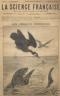 LA SCIENCE FRANCAISE 1891 n 23 LES OISEAUX PÊCHEURS