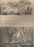 LA CHASSE ILLUSTREE 1893 N 45 GIBIER A PLUME DE PLAINE