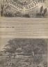 LA CHASSE ILLUSTREE 1893 N 22 UNE CHASSE DE DESTRUCTION